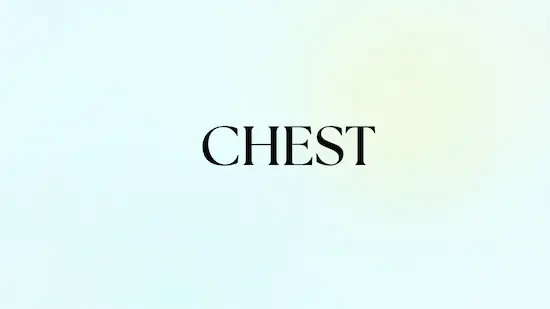 Beginner chest workout blog post preview